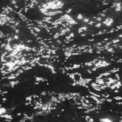 GROUPER - A I AGROUPER - A I A.jpg